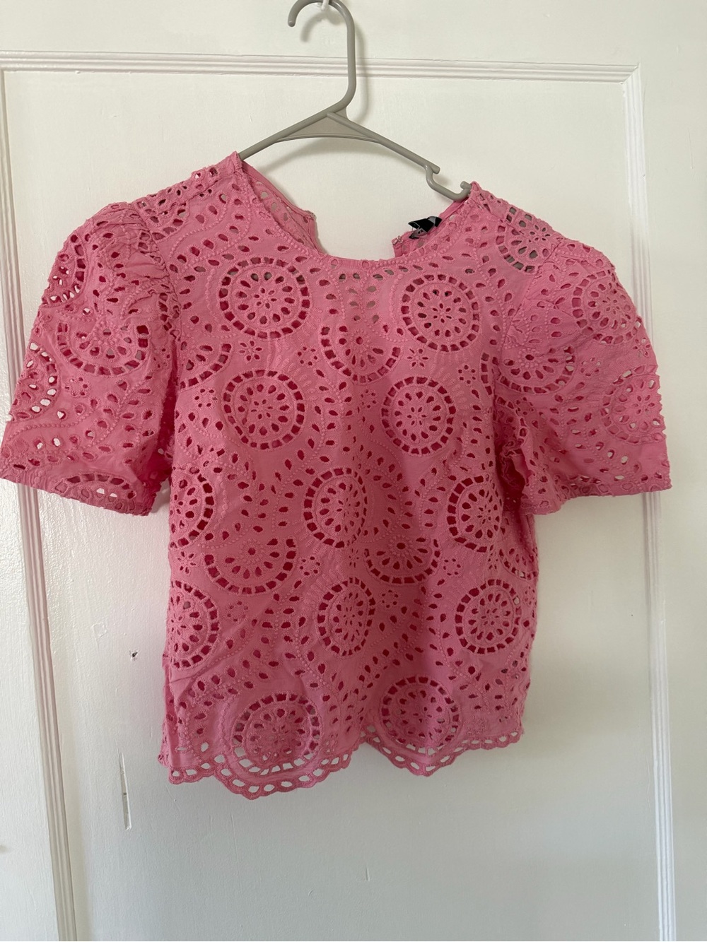 Express Pink Eyelet Puff Sleeve Blouse